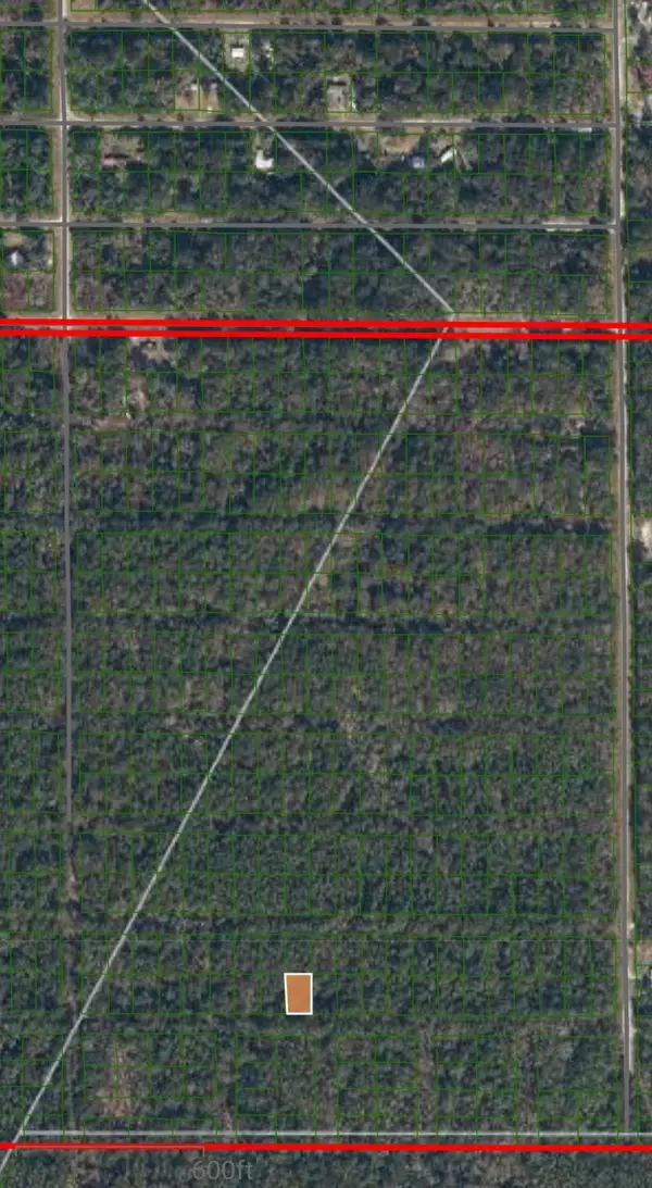 216 Mandarin Ave, Georgetown, FL 32139