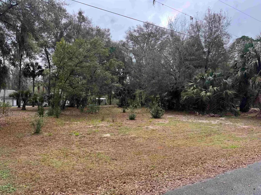 116 Orange Tree Dr, East Palatka, FL 32131 - #2