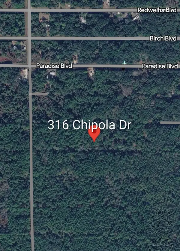 316 Chipola Dr, Georgetown, FL 32139