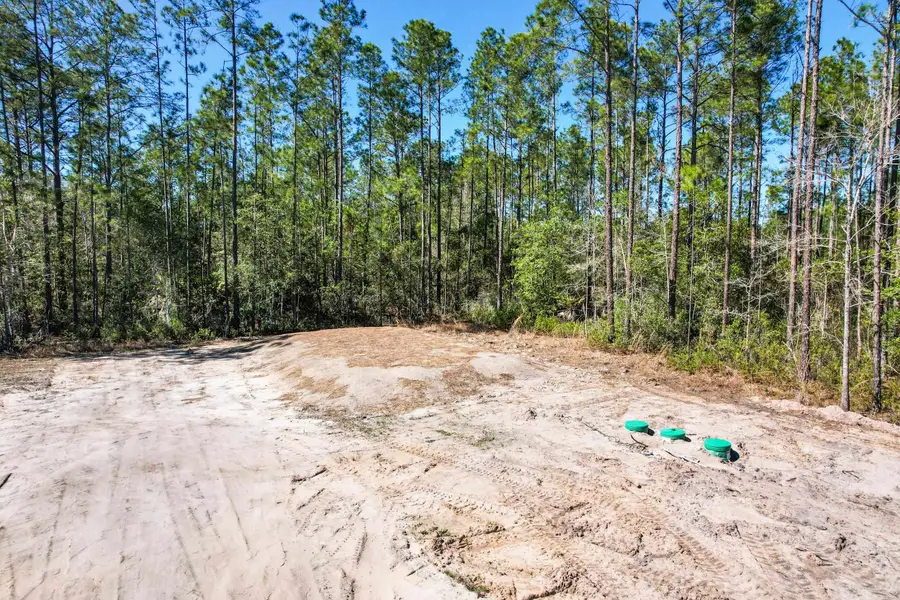 10175 Crotty Ave, Hastings, FL 32145 - #3