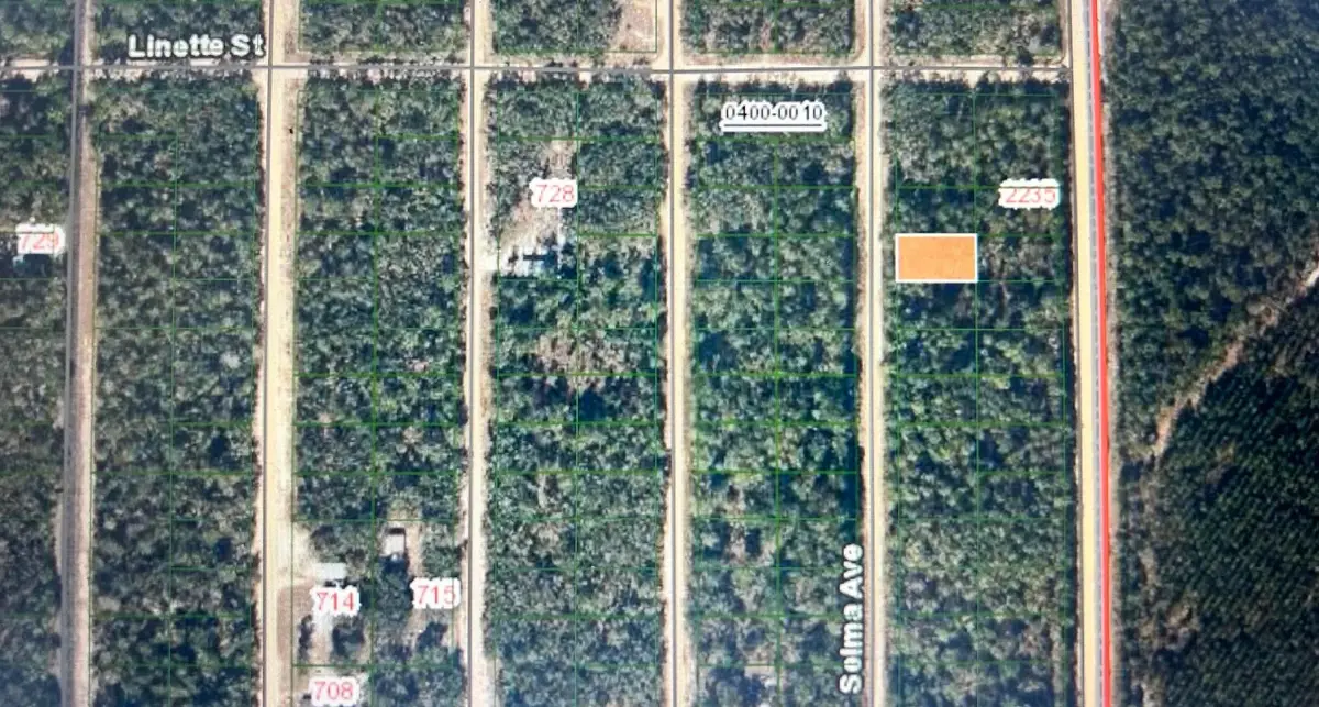 0C Selma Ave, Interlachen, FL 32148 - #1