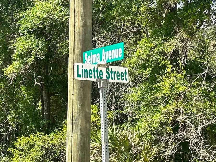 0C Selma Ave, Interlachen, FL 32148 - #2