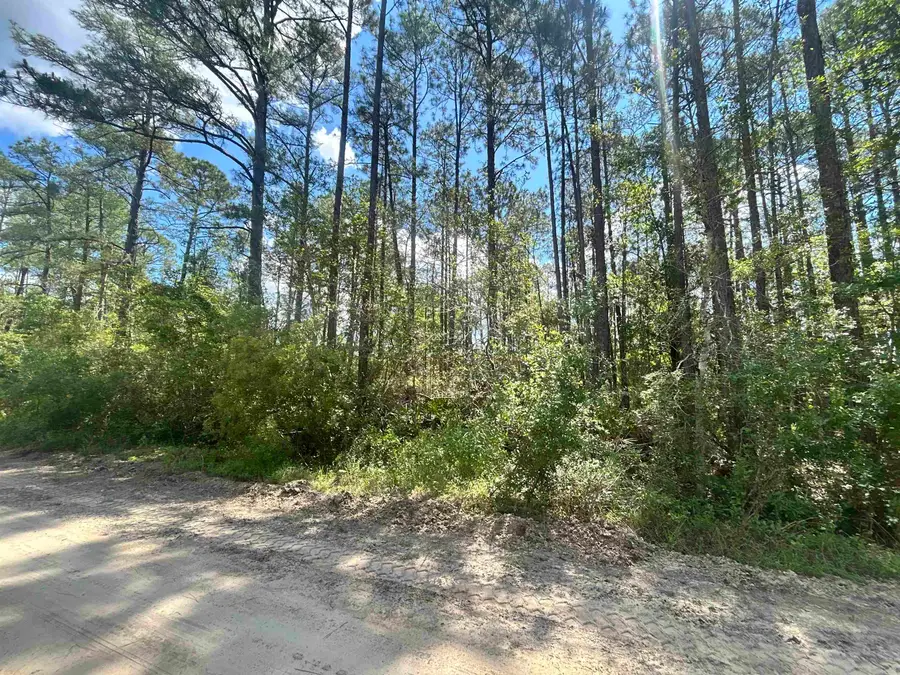0C Selma Ave, Interlachen, FL 32148 - #3