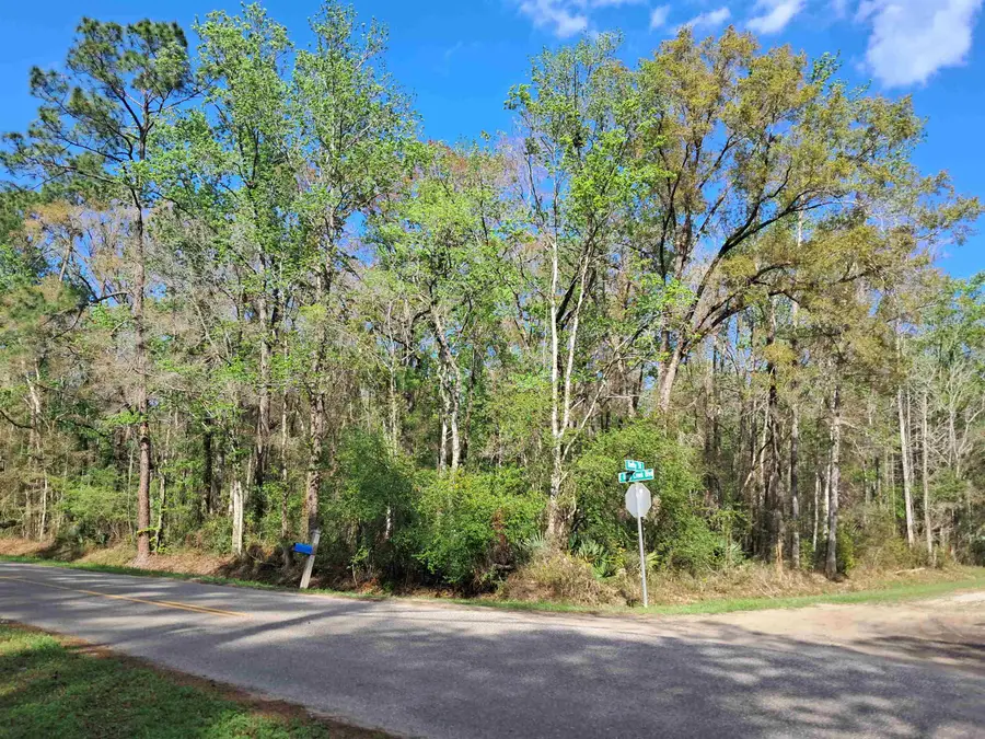 9610 E Deep Creek Blvd, Hastings, FL 32145 - #2