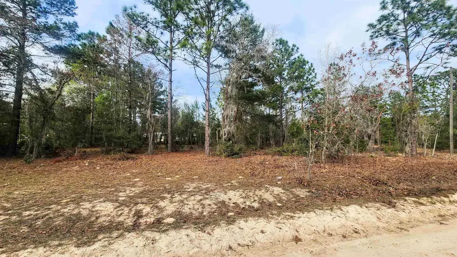 Caribbean St, Interlachen, FL 32148 - #2