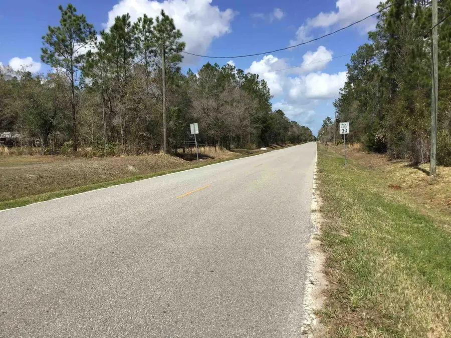 10305 Allison Ave, Hastings, FL 32145 - #3