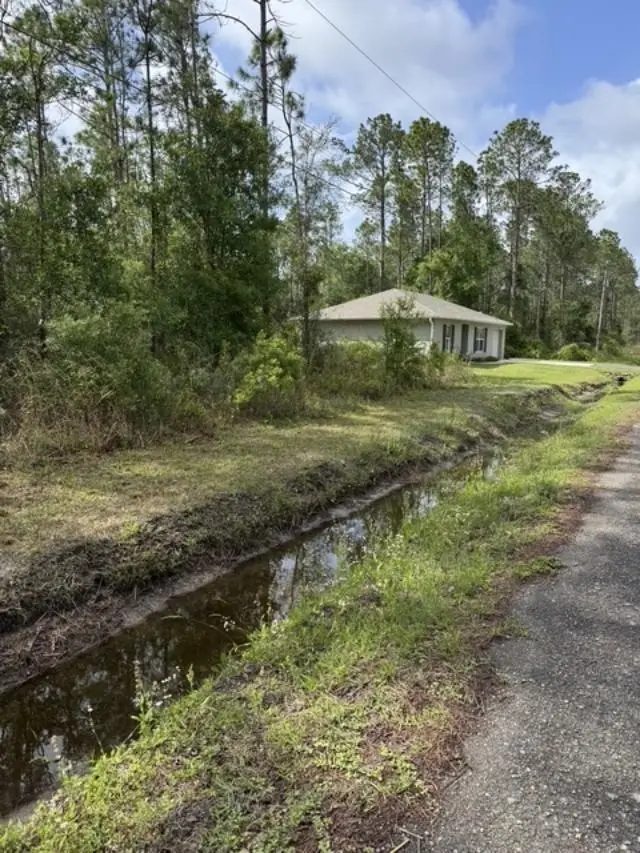 10355 Amos Ave, Hastings, FL 32145 - #3