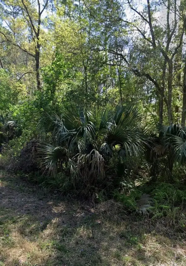 425 Dogwood Ave, Georgetown, FL 32139