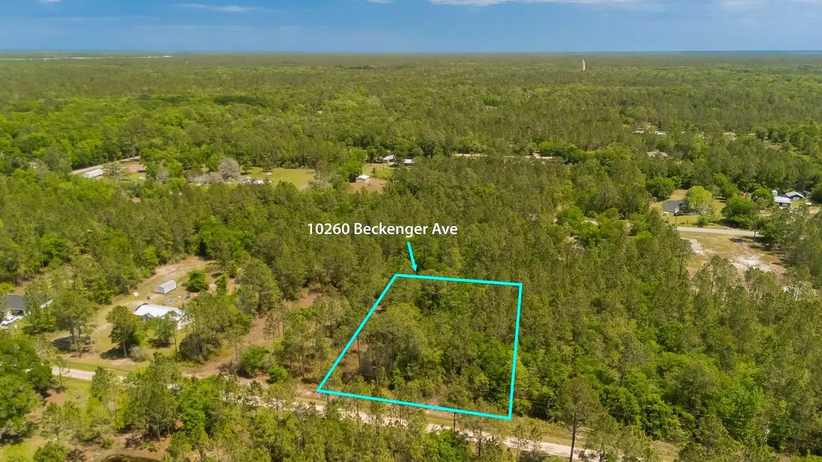 10260 Beckenger Ave, Hastings, FL 32145 - #1