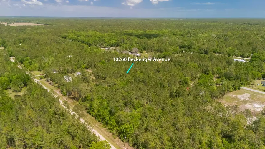 10260 Beckenger Ave, Hastings, FL 32145 - #3