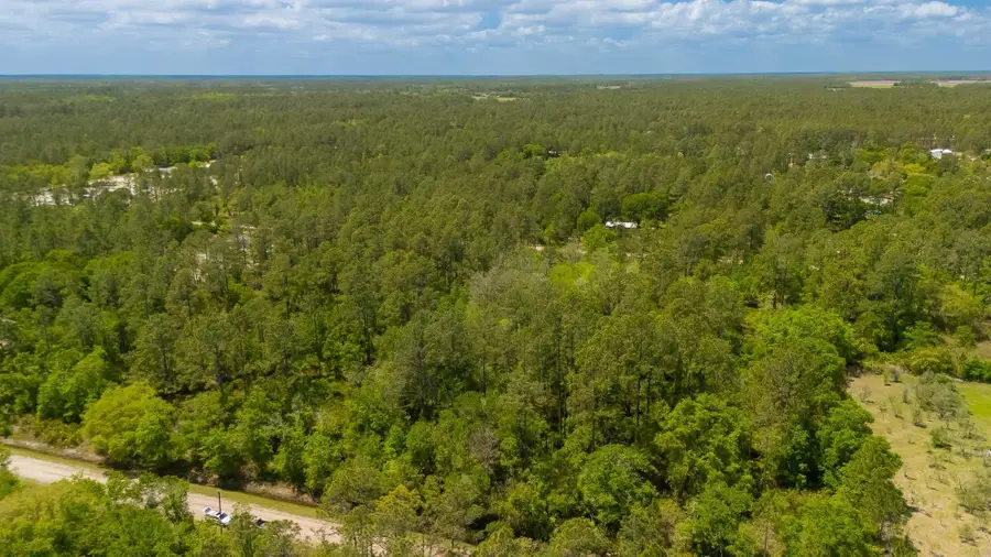 10685 Weatherby Ave, Hastings, FL 32145 - #3