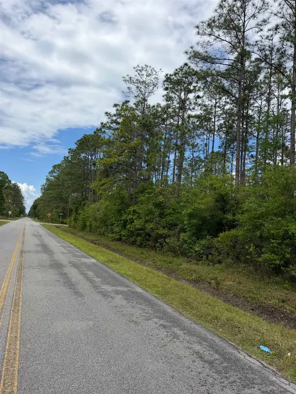 0 Melanie St, Hastings, FL 32145