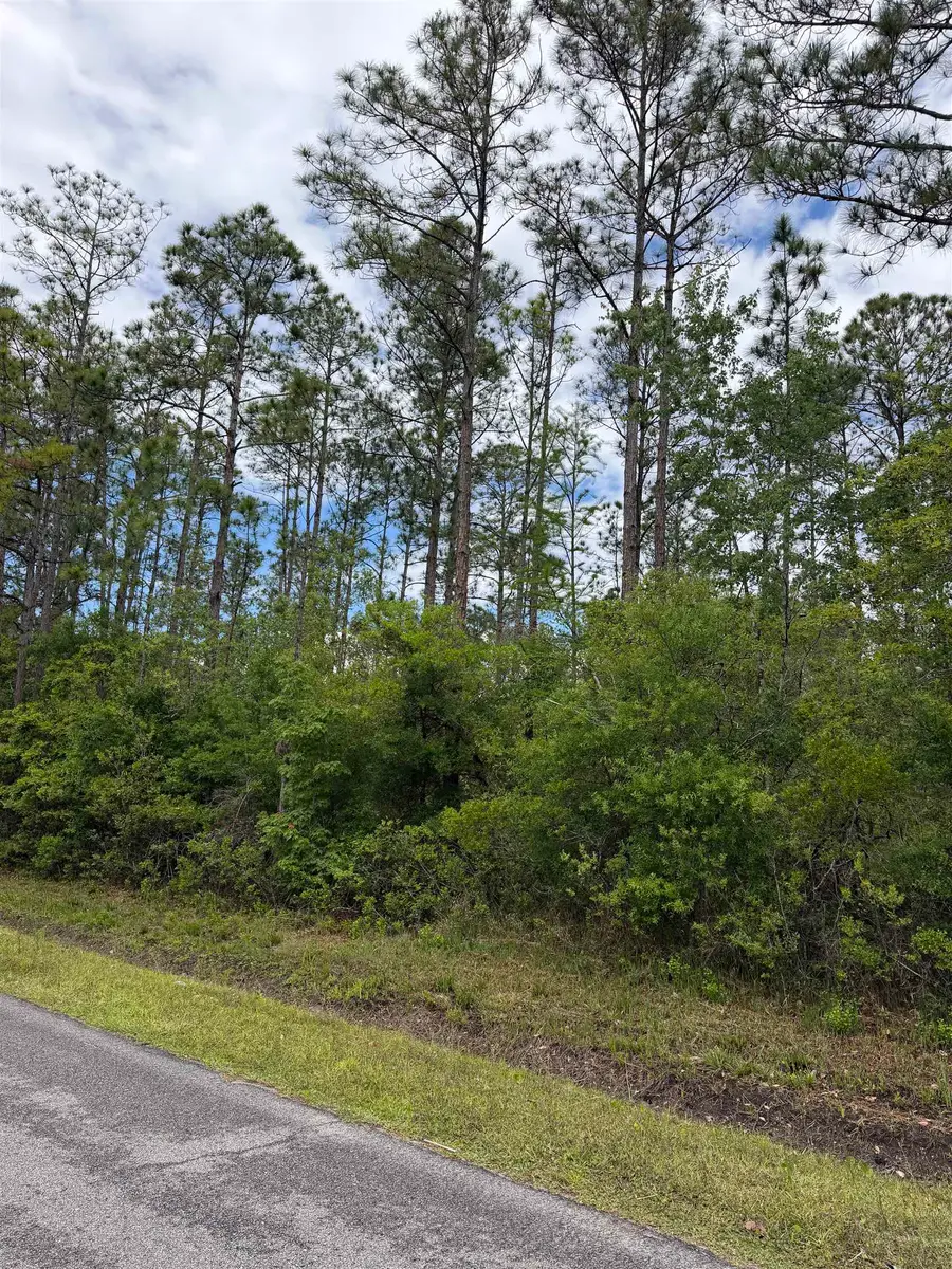 0 Melanie St, Hastings, FL 32145 - #2