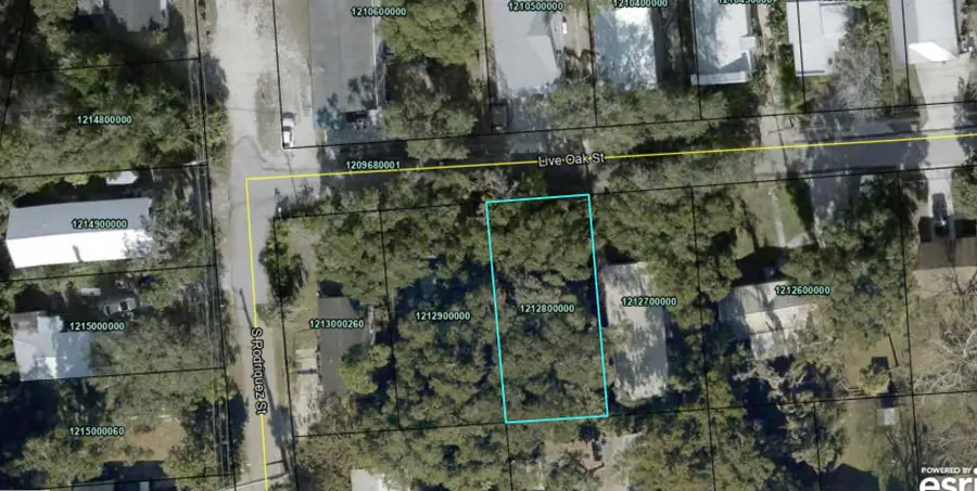 571 Live Oak Street, Saint Augustine, FL 32084 - #2