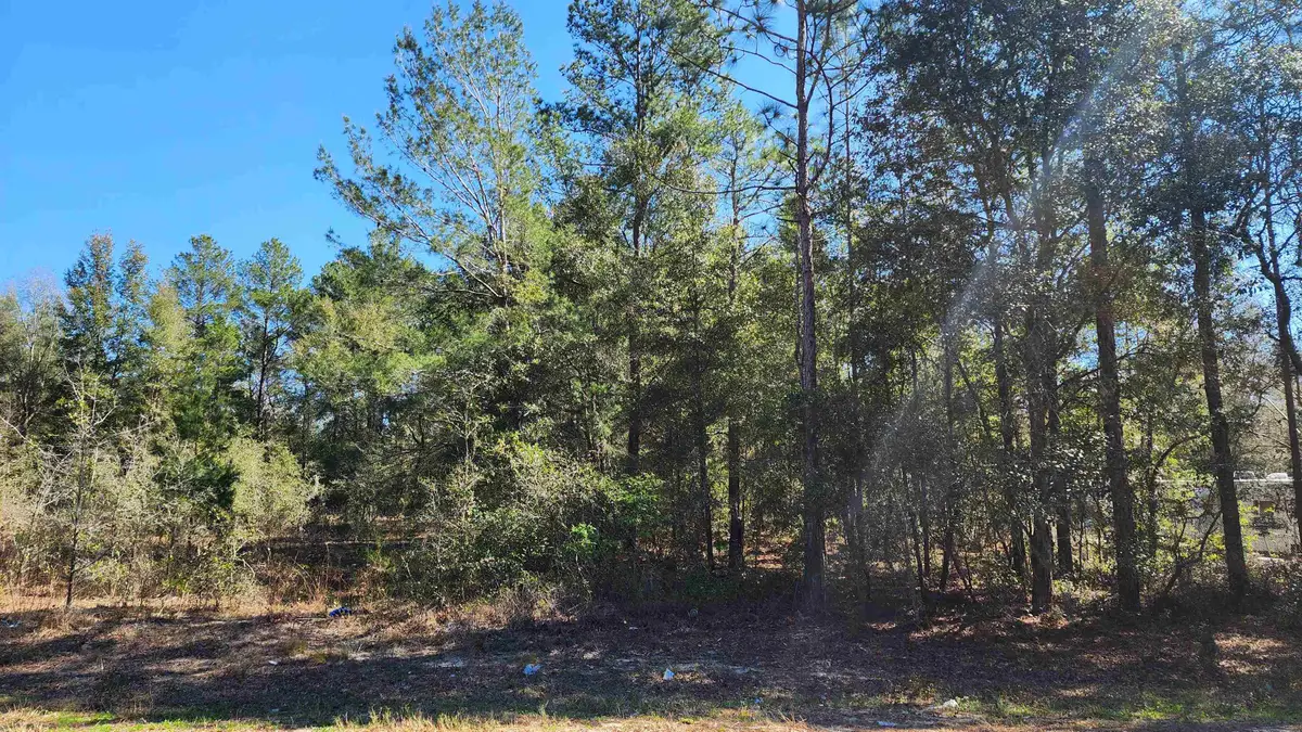 Dawn Ave, Interlachen, FL 32148 - #1