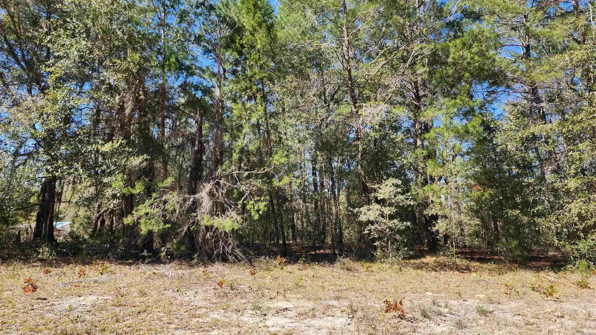 Kitty Ave, Interlachen, FL 32148 - #1
