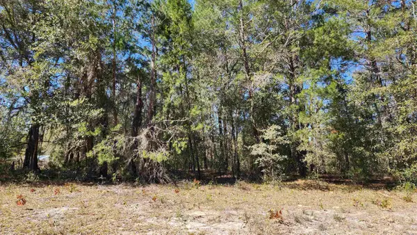 Kitty Ave, Interlachen, FL 32148