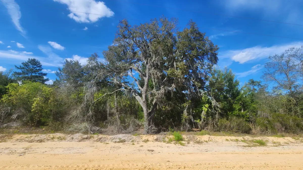 0 Birch St, Interlachen, FL 32148 - #1