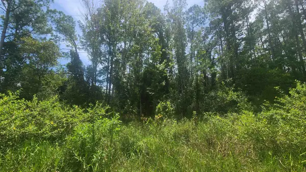233 Rosewood, Georgetown, FL 32139