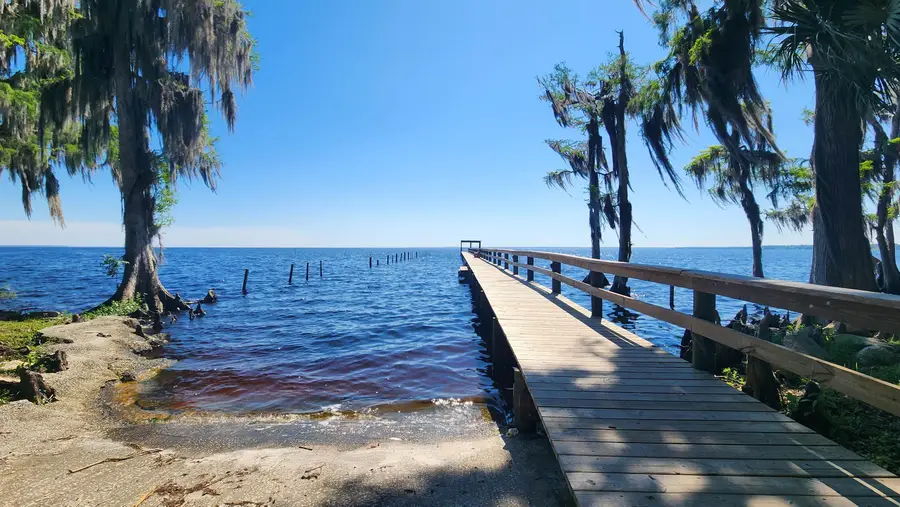 233 Rosewood, Georgetown, FL 32139 - #2