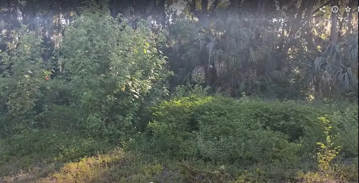 695 S Rodriquez St, Saint Augustine, FL 32084 - #1