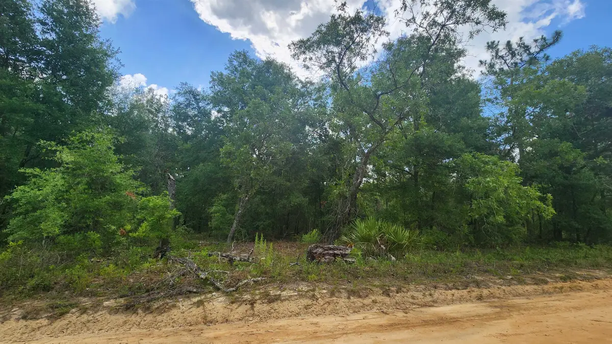 Marion Street, Interlachen, FL 32148 - #1