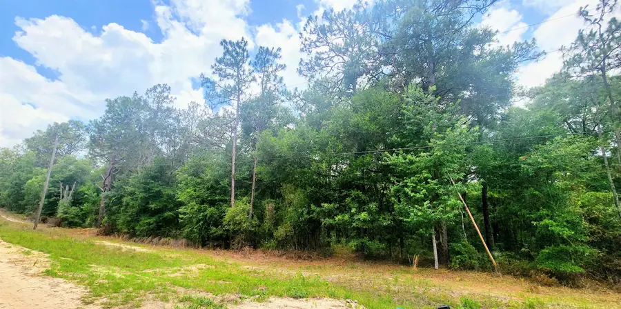 415 Pheasant Rd, Satsuma, FL 32189 - #2
