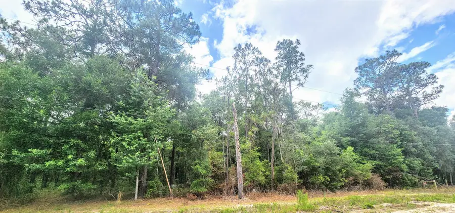 413 Pheasant Rd, Satsuma, FL 32189 - #2