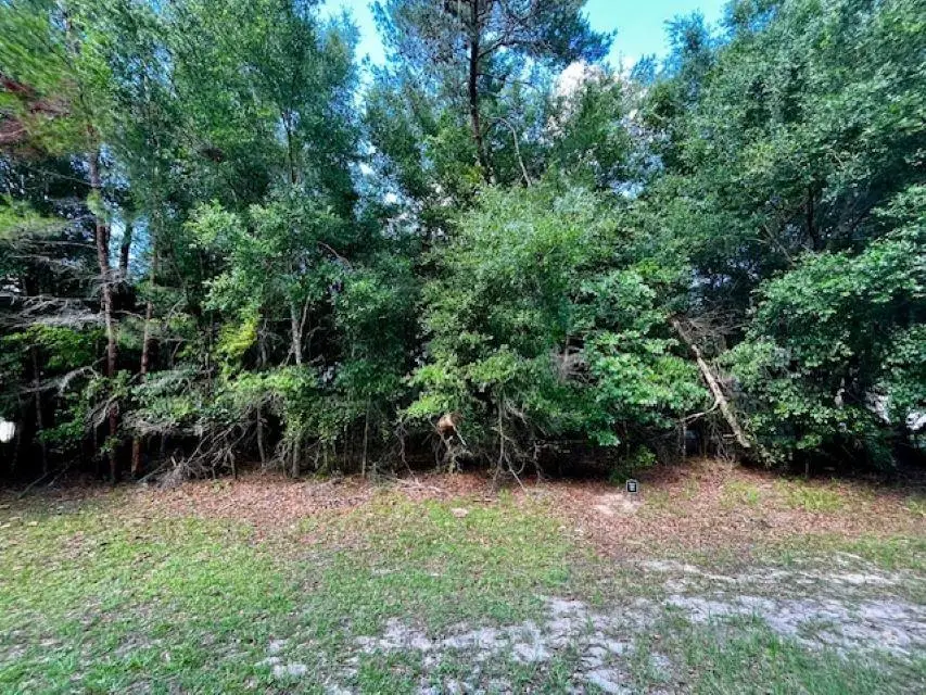 3340 Millwood Way, Saint Augustine, FL 32086 - #2
