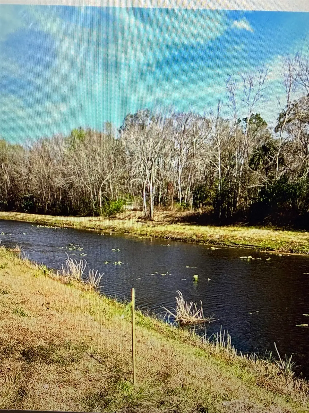 10570 W Deep Creek Blvd, Hastings, FL 32145 - #1