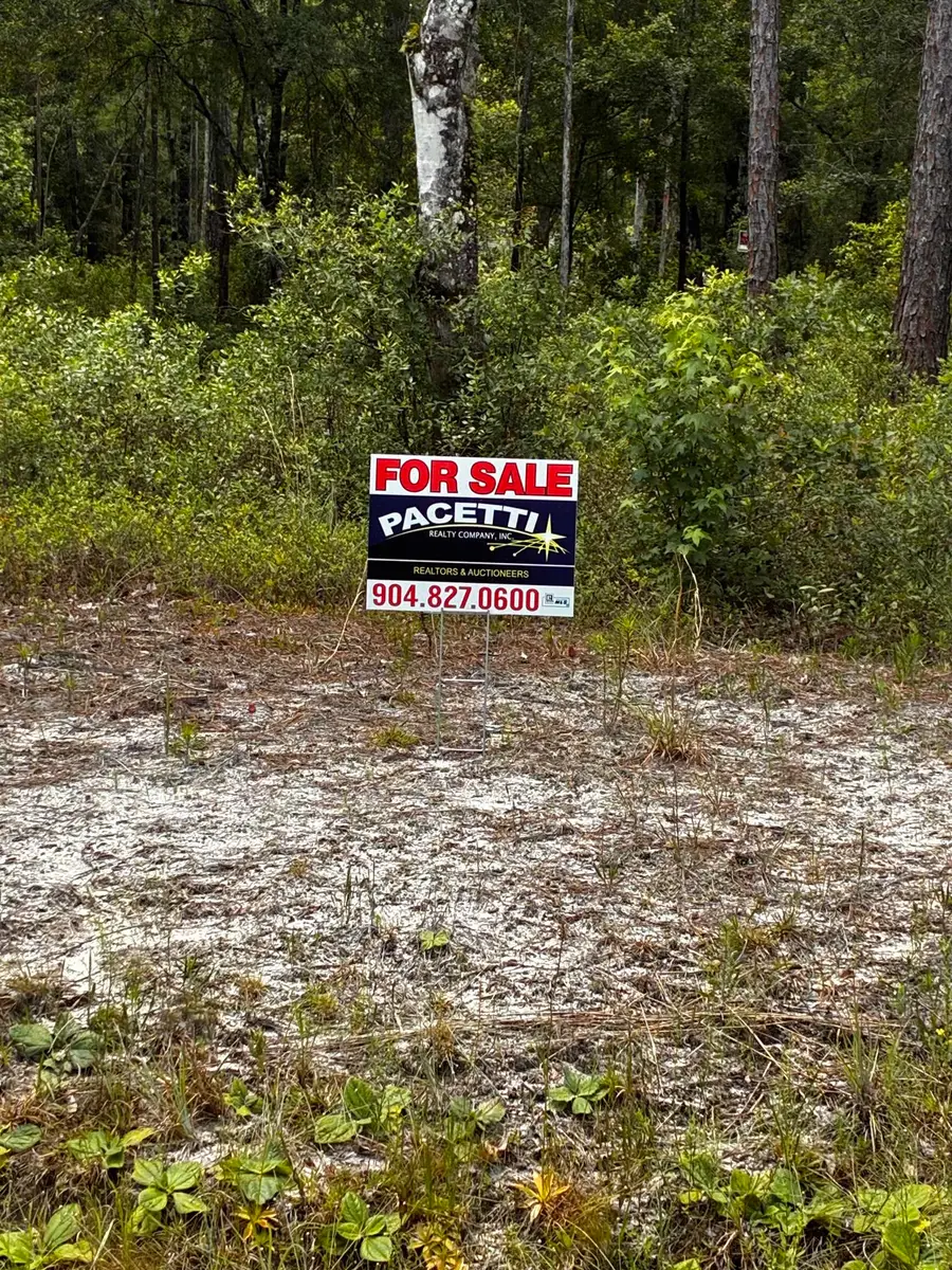 4715 Roberta Street Hastings Fl 32145, Hastings, FL 32145 - #3