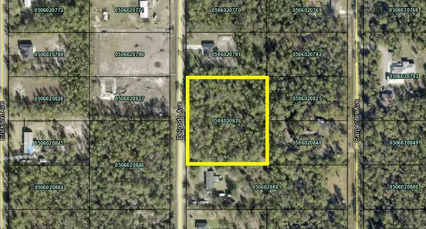 10270 Delgado Ave, Hastings, FL 32145