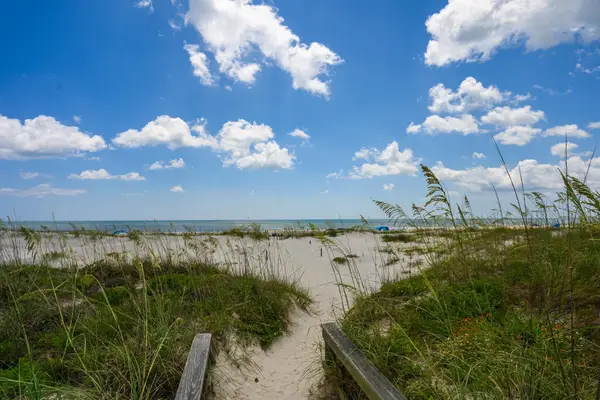 1733 Sea Fair Dr #12223, St Augustine, FL 32080
