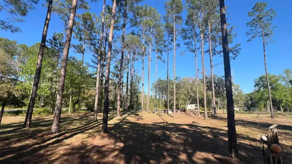 4698 Helena St, Hastings, FL 32145