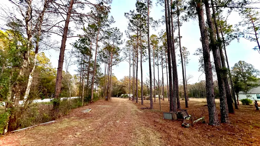 4698 Helena St, Hastings, FL 32145 - #3