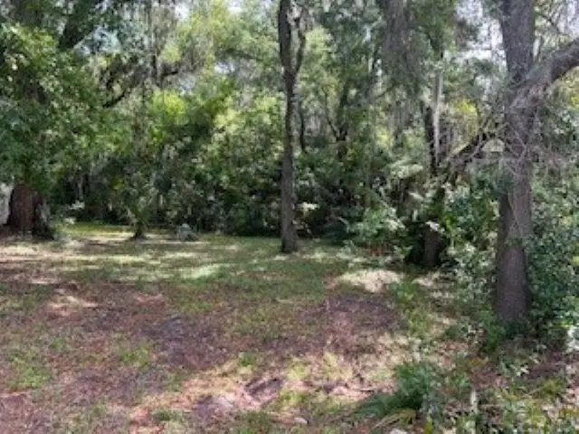 TBD SE 12th Street, Gainesville, FL 32641 - #3
