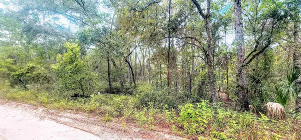 Minnestoa Ave, Satsuma, FL 32189