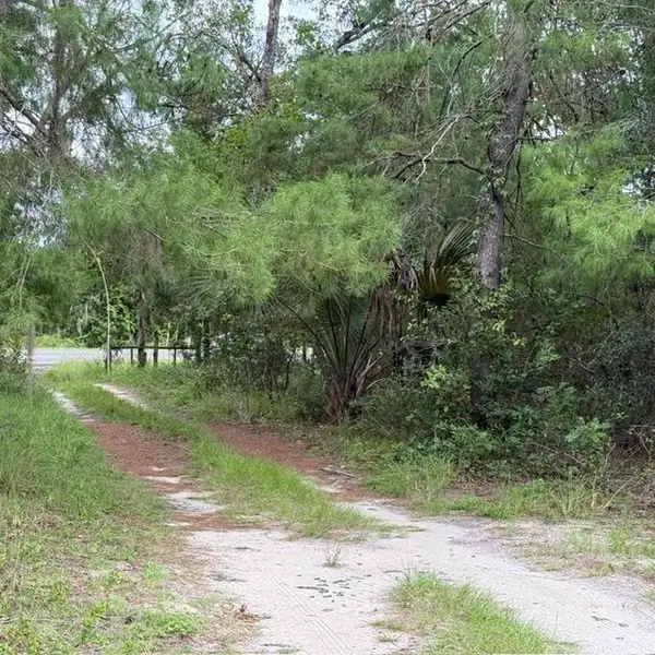 421 S County Road 315, Interlachen, FL 32148