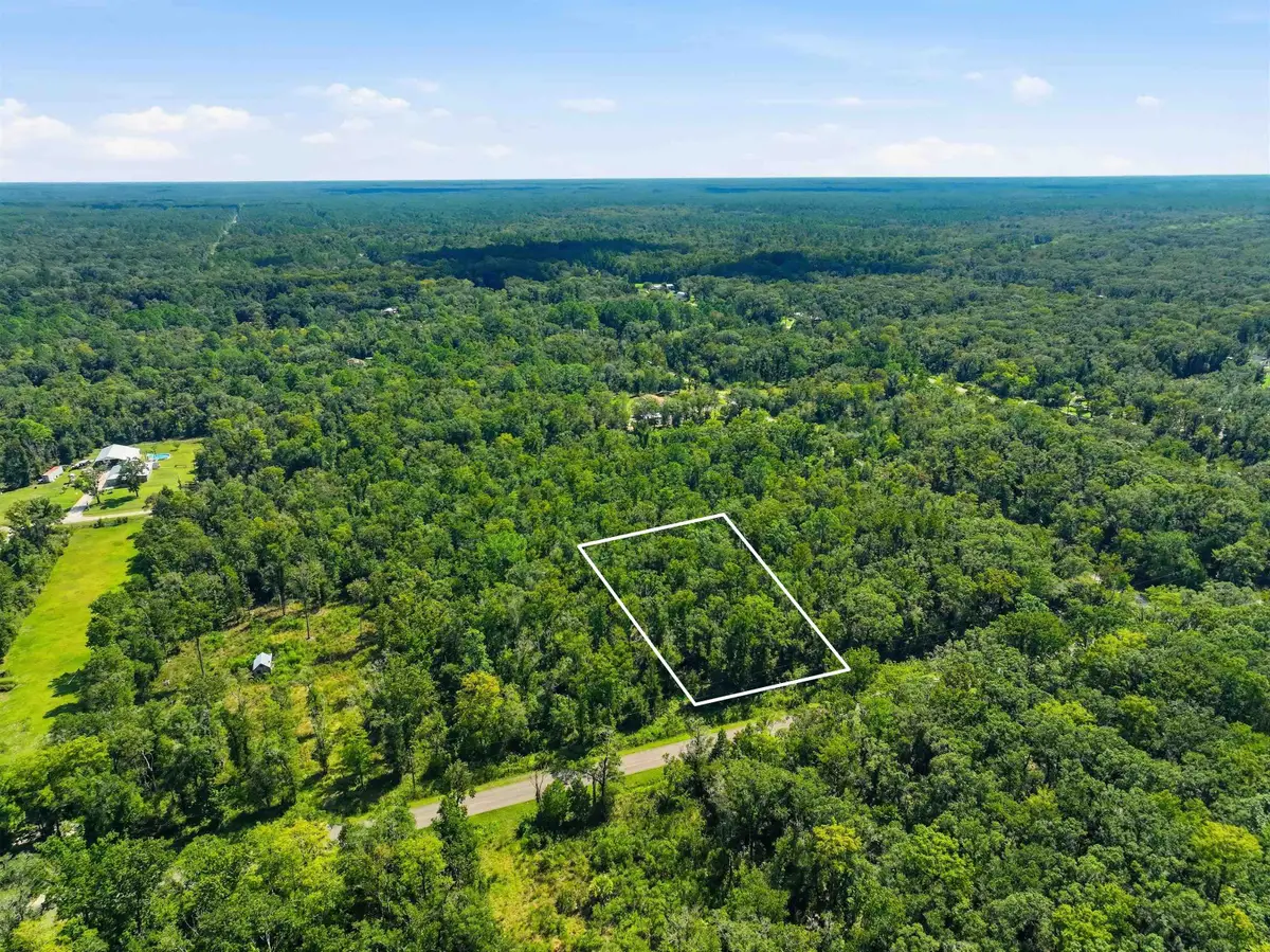 10530 Turpin Avenue, Hastings, FL 32145 - #1