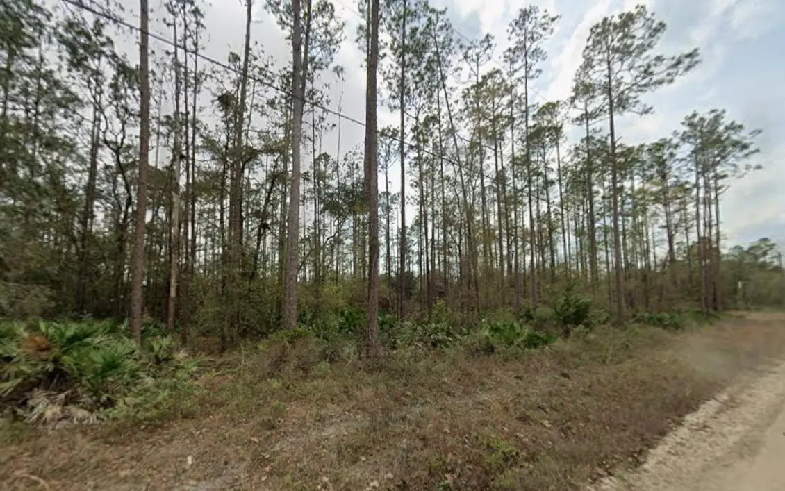 0 Glisson St, Interlachen, FL 32148 - #1