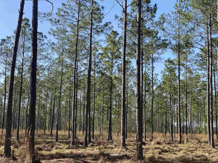 TBD NW County Road 235 Lot 23, Lake Butler, FL 32054 - #2