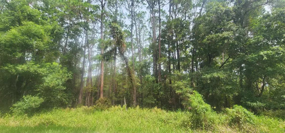 422 Dogwood Ave, Georgetown, FL 32139 - #1