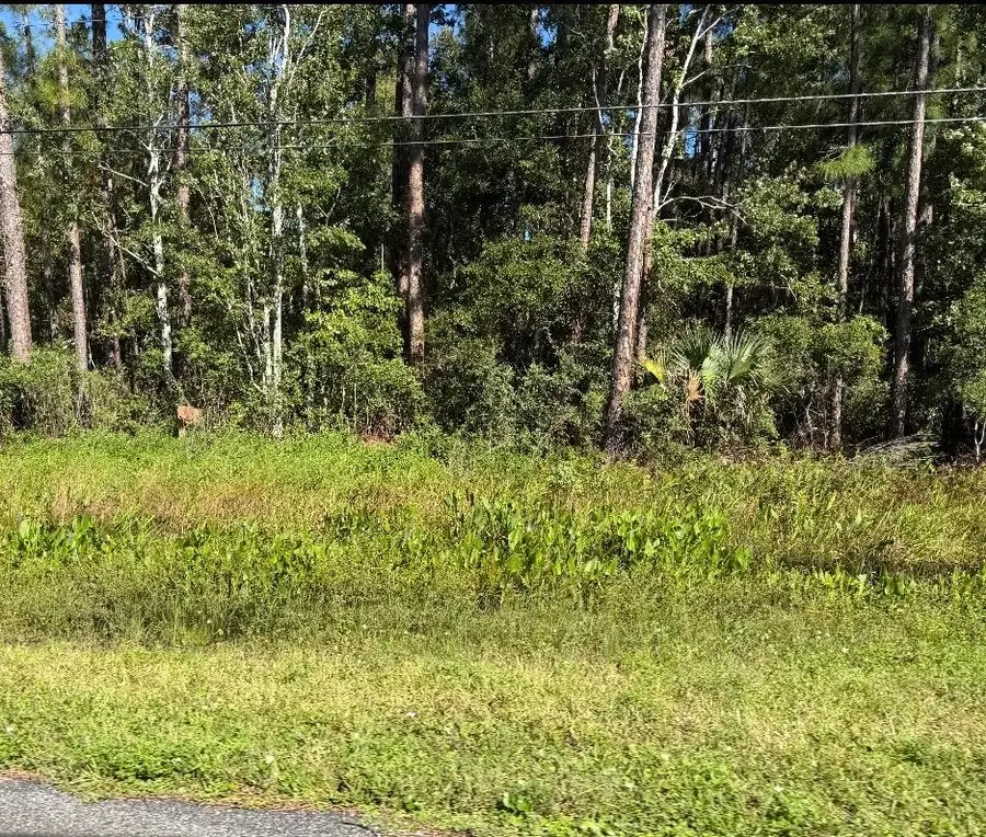 7900 Us Highway 1, Saint Augustine, FL 32086 - #2