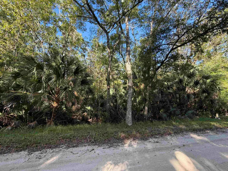 1714 Coconut Blvd, Bunnell, FL 32110 - #3