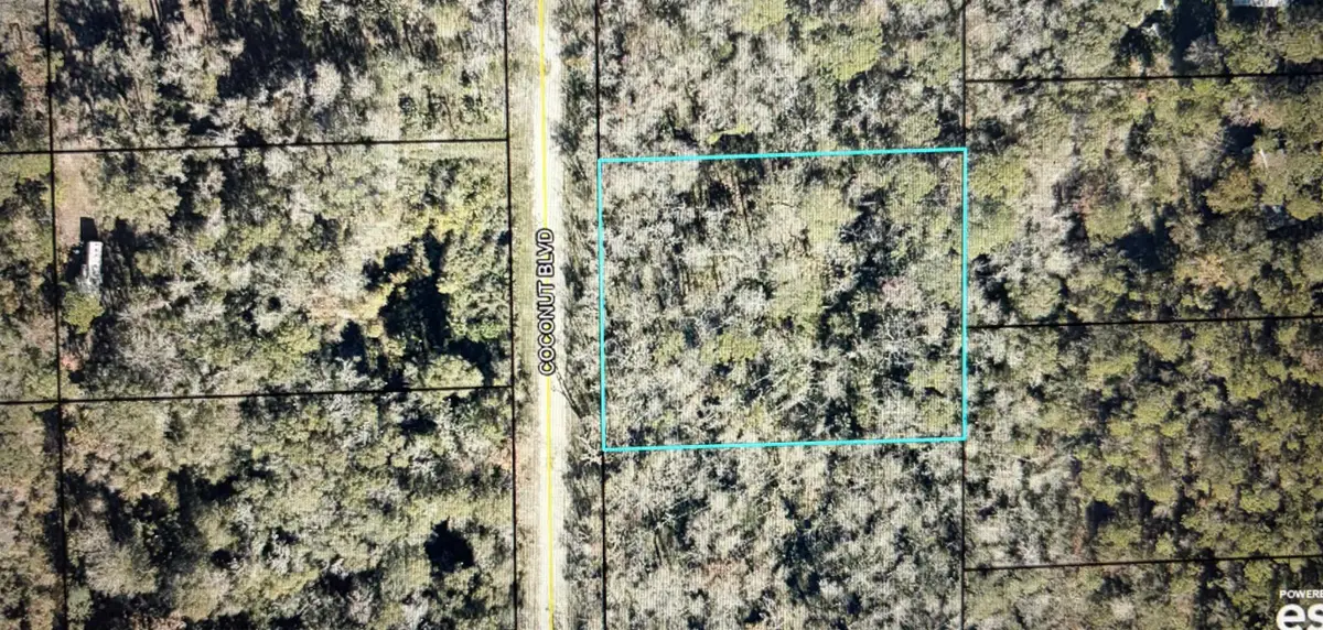 1817 Coconut Blvd, Bunnell, FL 32110 - #1