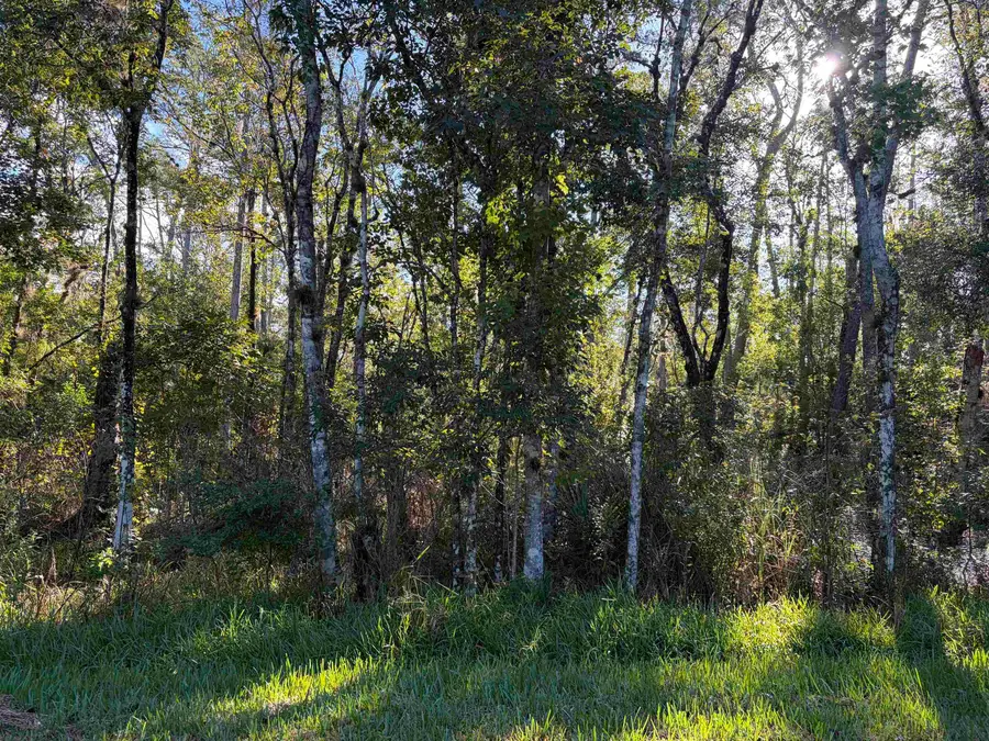 1817 Coconut Blvd, Bunnell, FL 32110 - #3