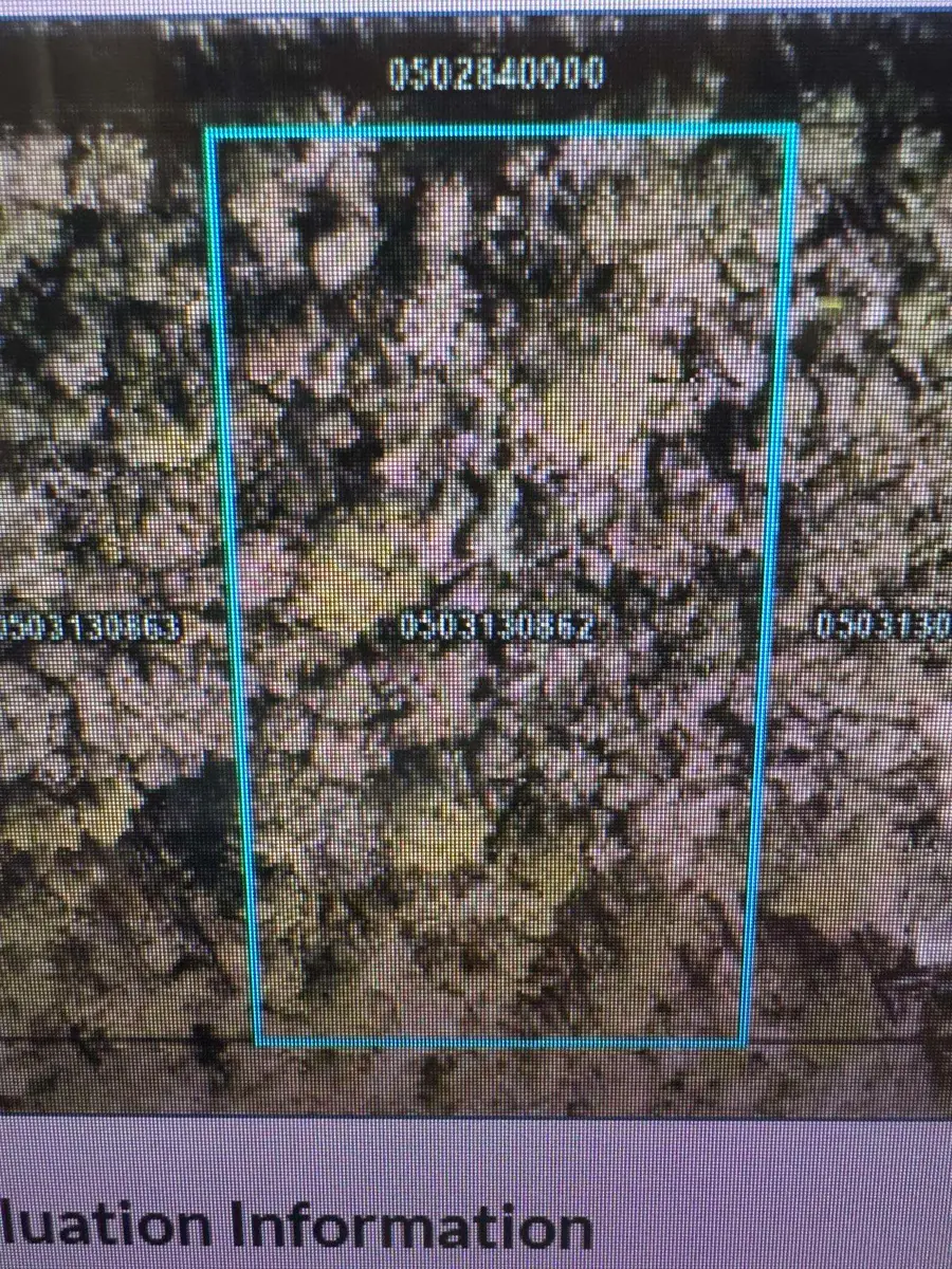 4835 Kenneth St, Hastings, FL 32145 - #2