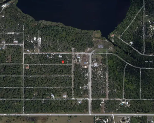 1205 Passion Flower Street, Sebring, FL 33875