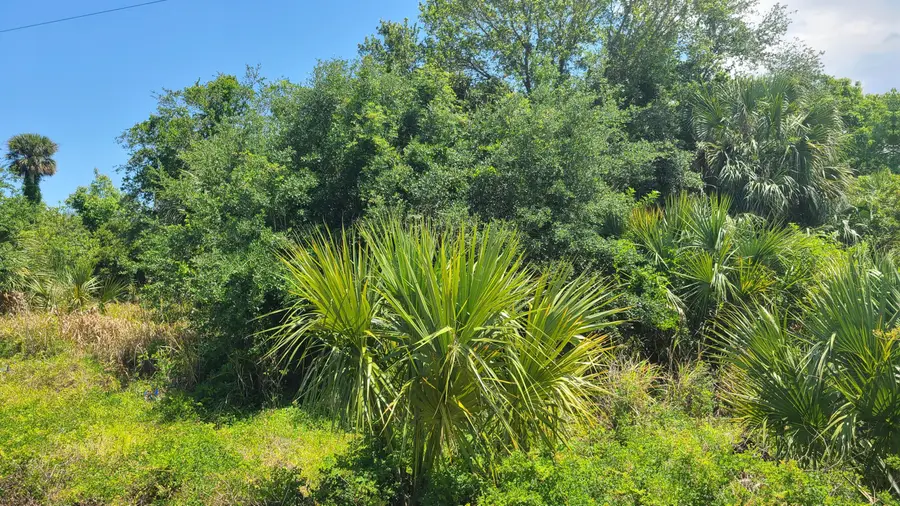 1790 Palm Bay Road Ne, Palm Bay, FL 32905 - Image #3