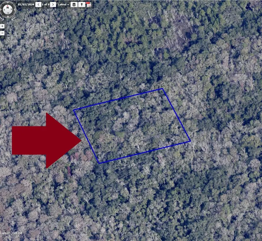 00000 No Access W Of Meadows Green Road, Mims, FL 32754 - Image #2